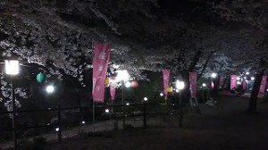IMG_20160406_203049